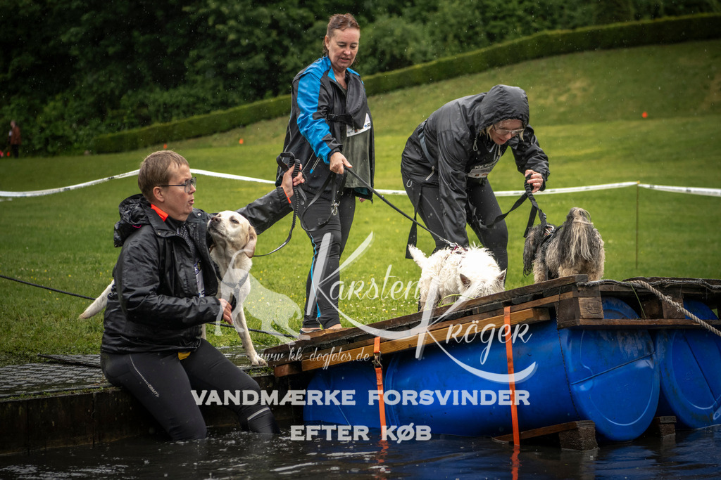 1553_ZZ95519-2 | kk-dogfotos