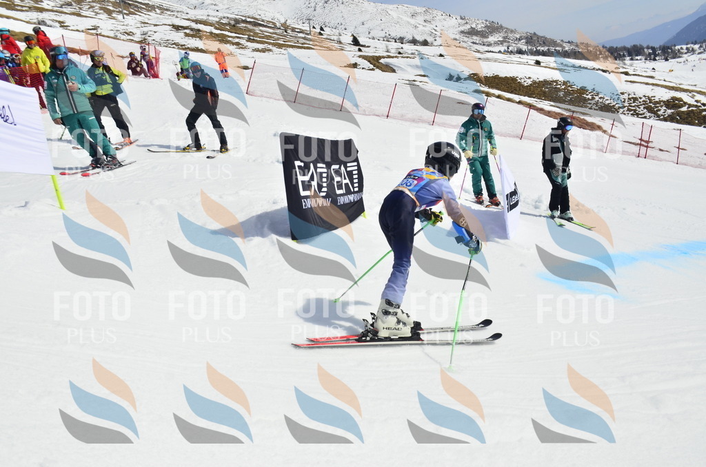 _ELE1439 | holidayphoto