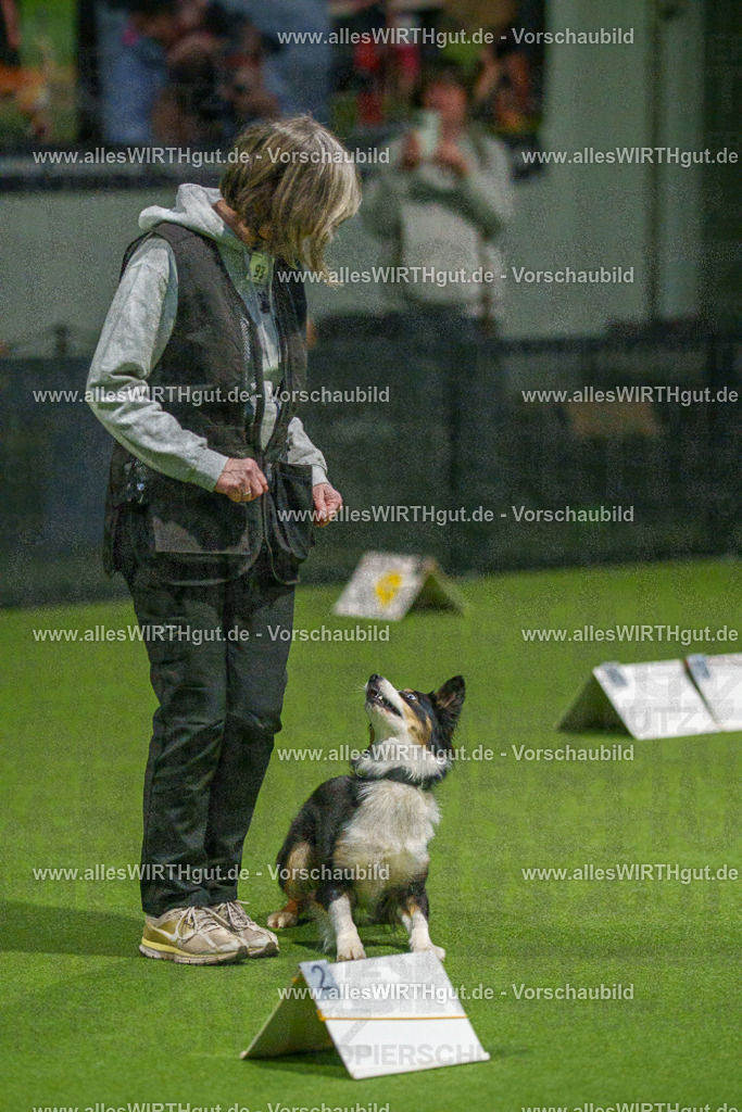 7R508974 | Professionelle Tierfotografie in Mönchengladbach von Daniel Wirth (allesWIRTHgut). Liebevolle & natürliche Bilder von Hunden & Katzen für unvergessliche Erinnerungen.