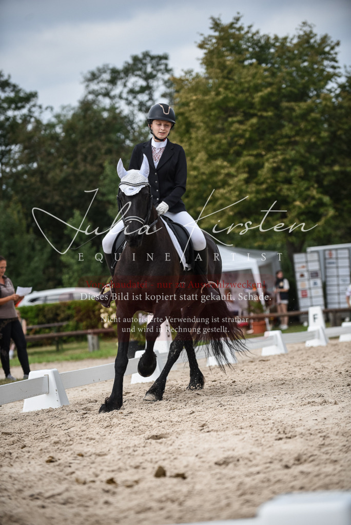 DSC_8611 | Pferde- und Turnierfotografie in Westsachsen. Pferdeportraits, Auftragszeichnungen und intuitive Kunst.