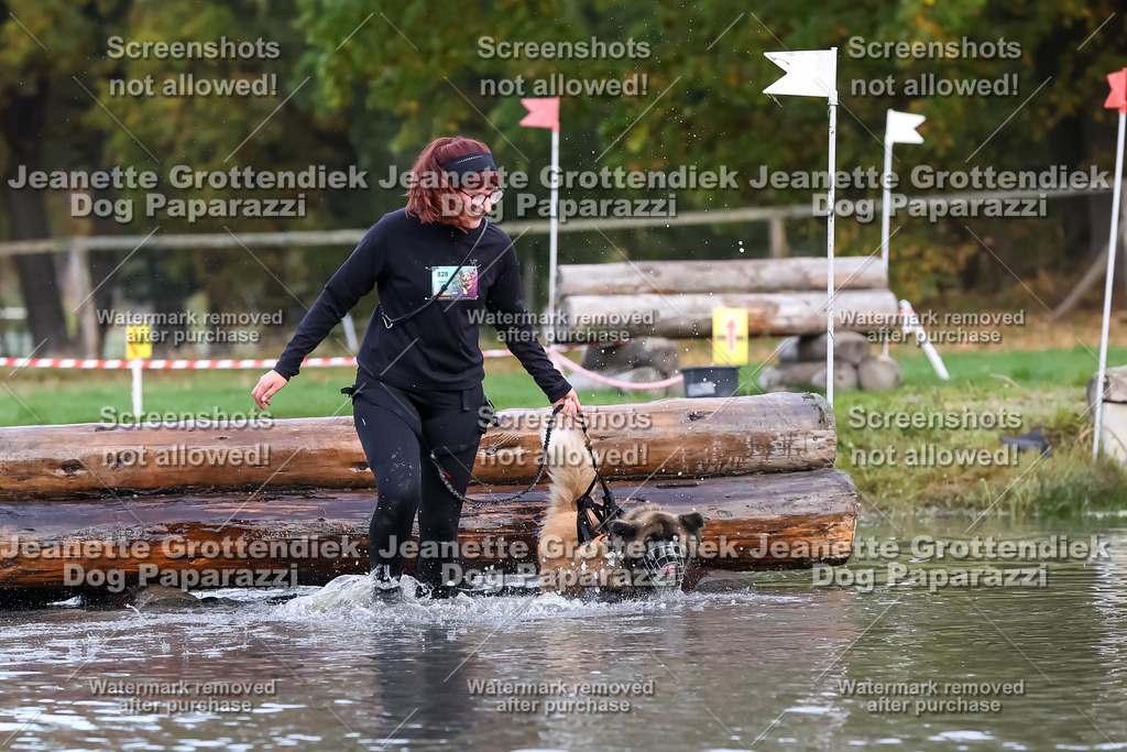 Dog Paparazzi - Strongdog 10-25-6620 | Dog Paparazzi Jeanette Grottendiek Fotografie & Videografie - Realisiert mit Pictrs.com