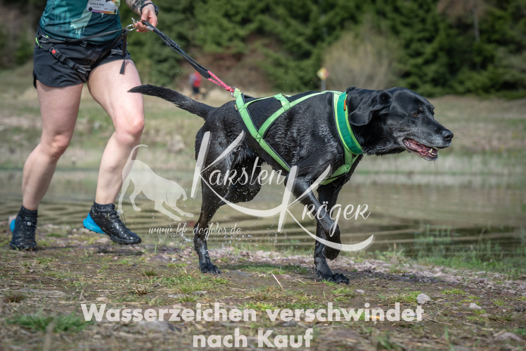1110_ZZ93268 | kk-dogfotos