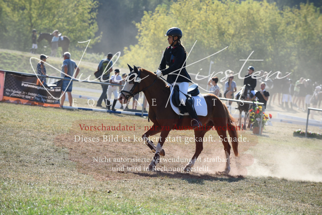 DSC_6083 | Pferde- und Turnierfotografie in Westsachsen. Pferdeportraits, Auftragszeichnungen und intuitive Kunst.
