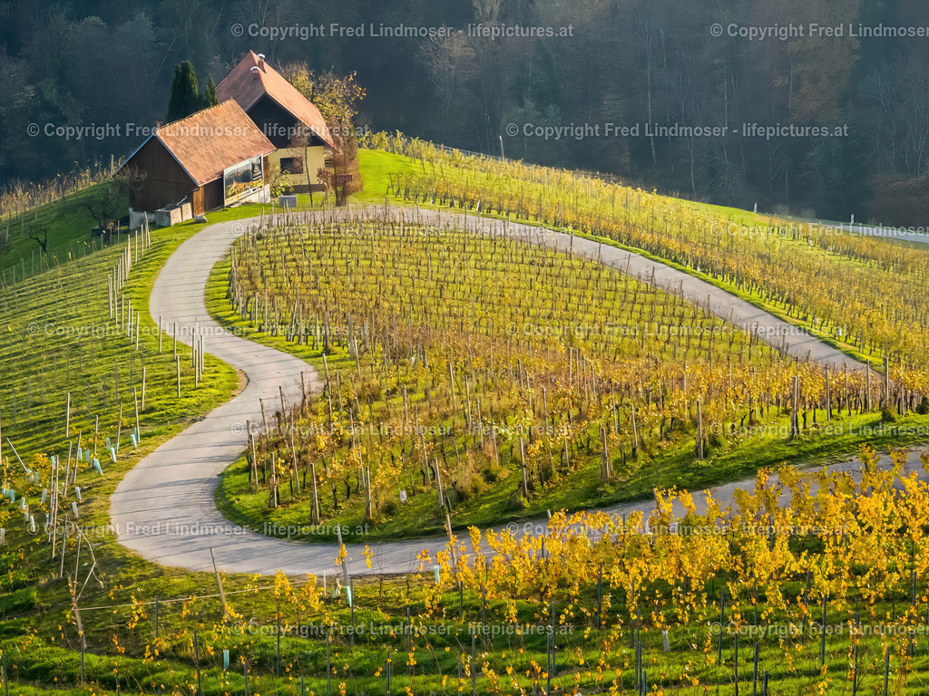 Herzerlstraße Slowenien Suedsteiermark November 2024 _ Fred Lindmoser 0282 | Fotos und Fotoprodukte - Realisiert mit Pictrs.com