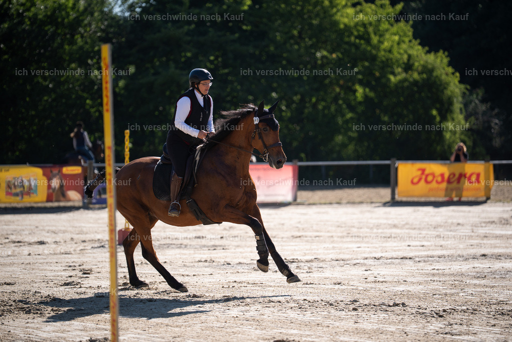 WL_SP_140_Stoibphotography_SO14332 | working equitationturnier fotograf videograf stoibphotography marixx film working equitation deutschland reitsport turnierfotografie eventfotografie equestrian events