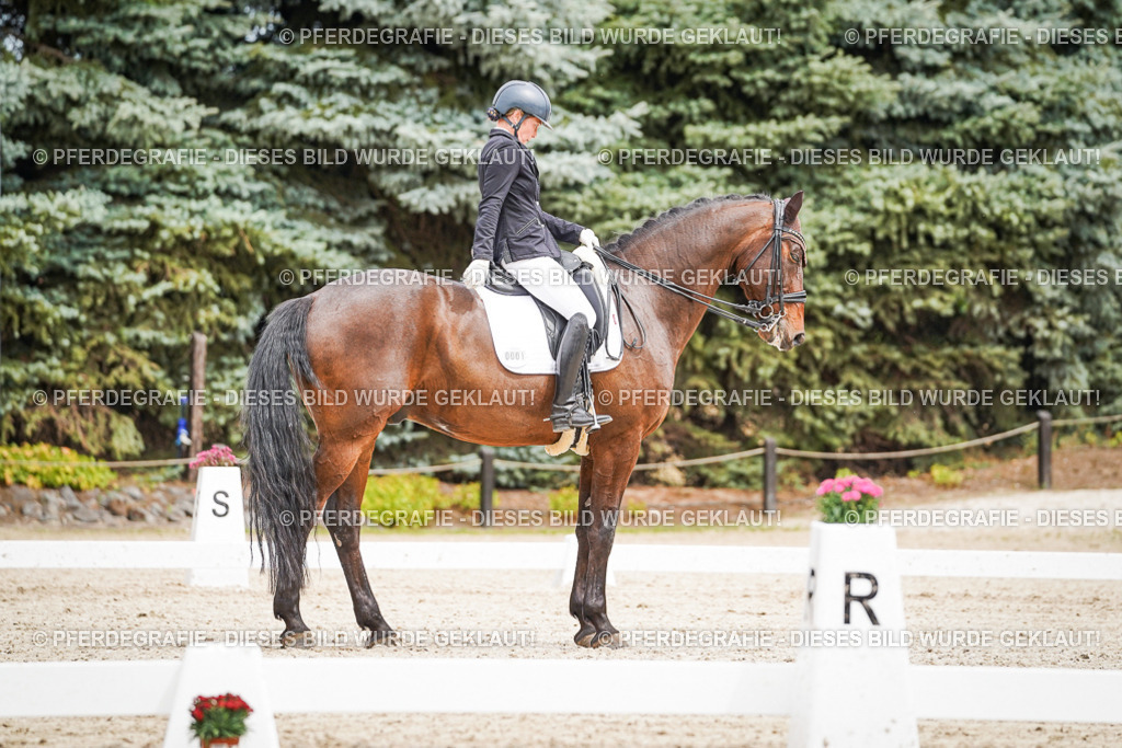 DSC04935 | Pferdegrafie