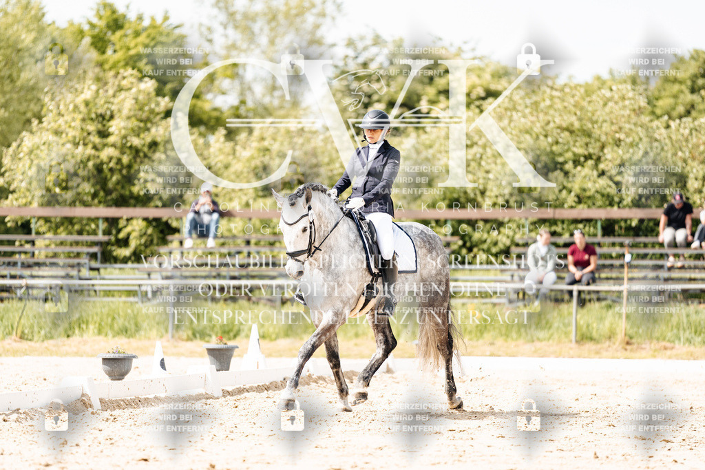 CK901575 | Turnierfotografie Pferdefotografie Trier Rheinland-Pfalz Pferdesport Reitsport Tierfotografie Sportfotografie Pferdevideo Pferdevideografie Equestrianvideography equestrianphotography  - Realisiert mit Pictrs.com