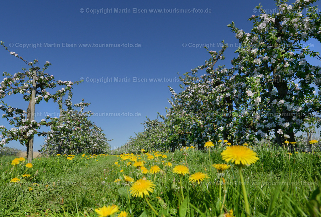 Altes Land_ELS_8967110516 | Fotos aus den Touristenorten aus Norddeutschland. - Realisiert mit Pictrs.com