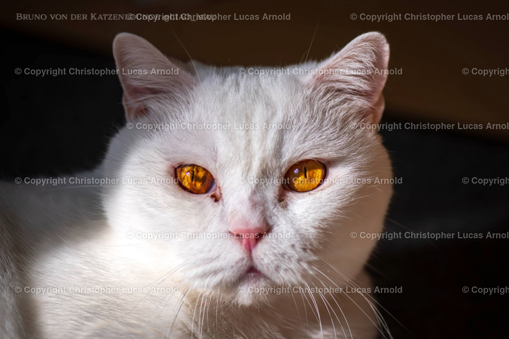 0012 | bildkomponist - Realisiert mit Pictrs.com