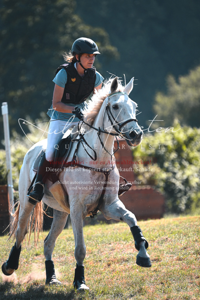 DSC_7969 | Pferde- und Turnierfotografie in Westsachsen. Pferdeportraits, Auftragszeichnungen und intuitive Kunst.