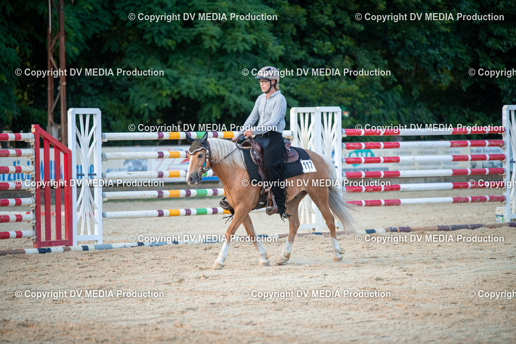 EWP_7279 | dv-media-shop - Realisiert mit Pictrs.com