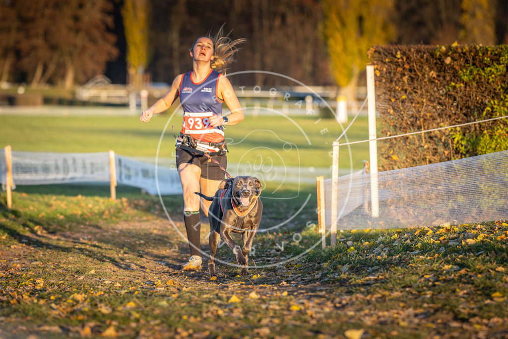 CaniXpix_DV3A5326 | Hundefotografie, Tierfotograf, Pfotenfotografie, Fotoshooting Hund, Hunde Portrait, Hundesport, Hundeportraits, Heideshooting, Hunde, Sportfotograf, Hundefotograf, Turnierhundsport, THS,  - Realisiert mit Pictrs.com