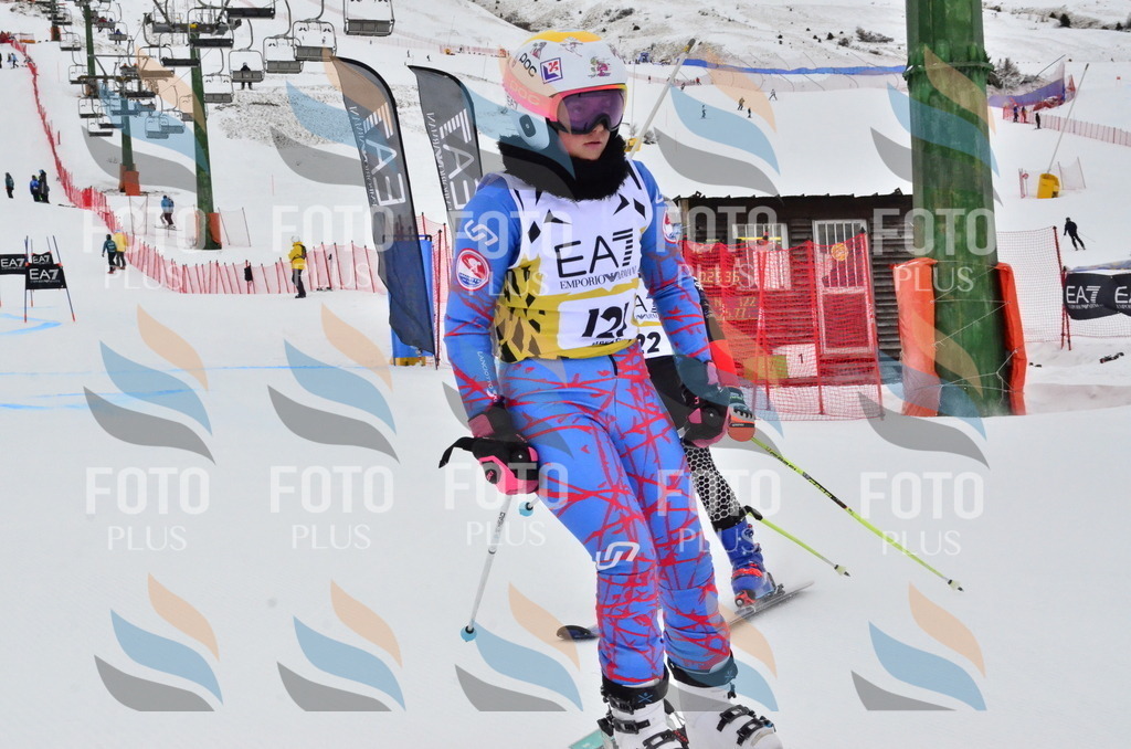 _ELE3654 | holidayphoto