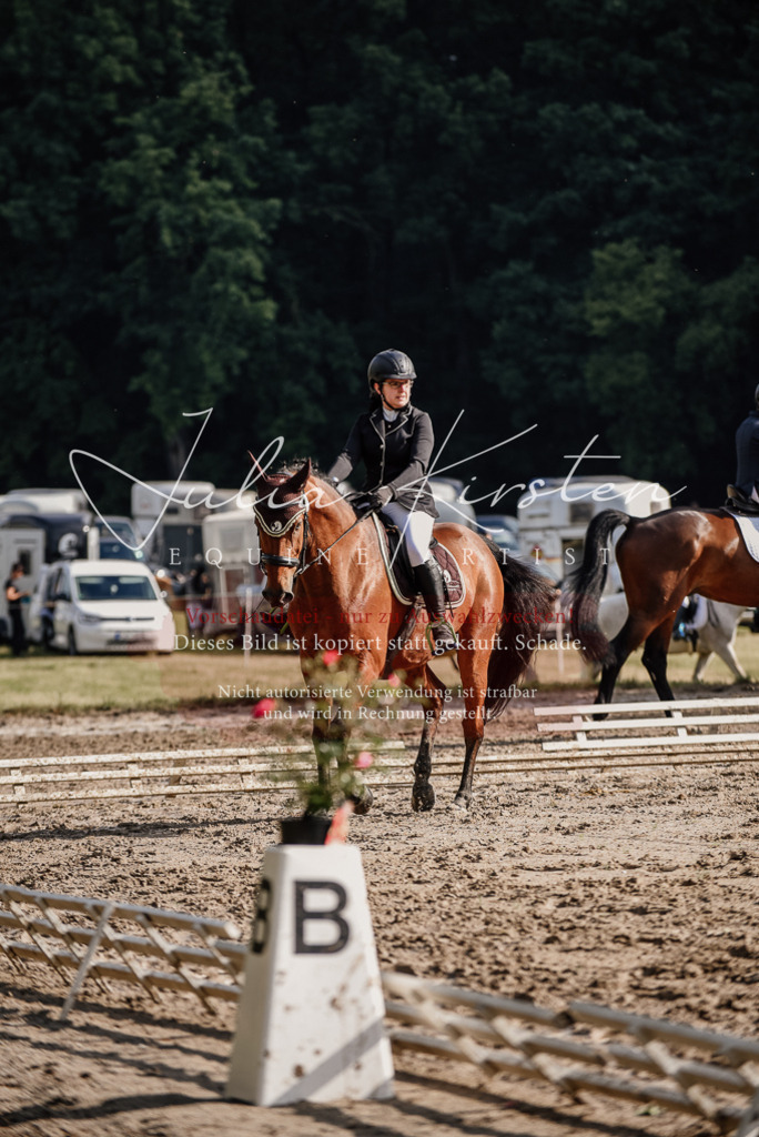 DSC_8515 | Pferde- und Turnierfotografie in Westsachsen. Pferdeportraits, Auftragszeichnungen und intuitive Kunst.