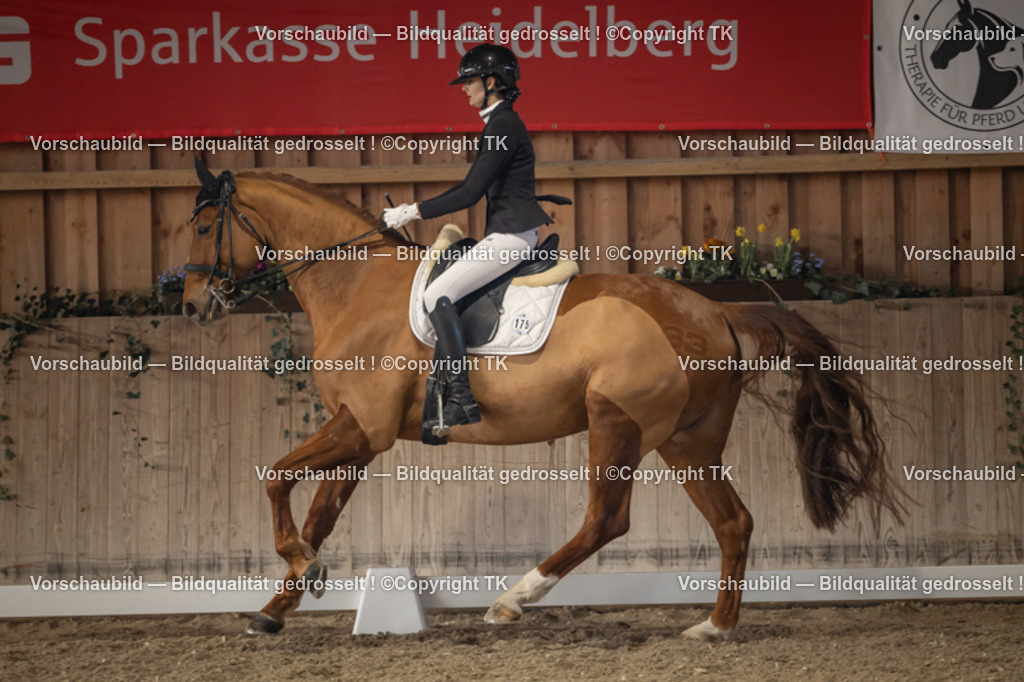 _D5A2841 | Emotionale Pferde- & People-Fotografie rund um Heidelberg, Leimen & Umgebung. Natürliche Fotos von Pferd, Mensch & Familie. Jetzt Termin sichern!