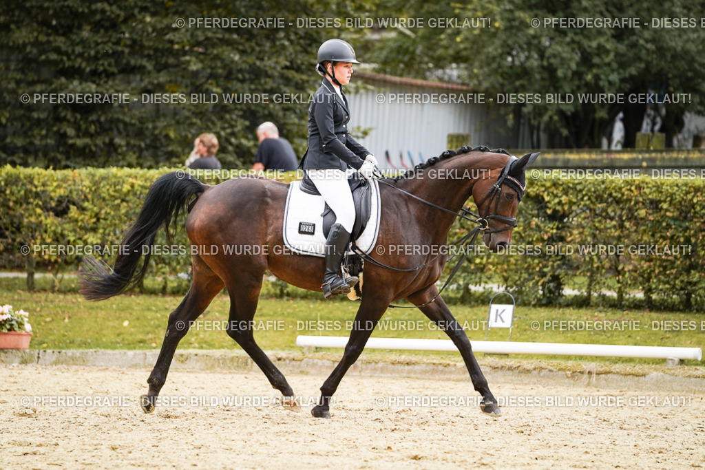 DSC00265 | Pferdegrafie