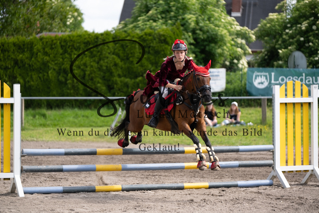 A7V04759 | Pferdefotograf