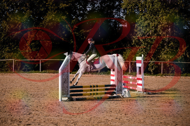 2026_10_03_Siefer-Hof_155148_Z81_71111177 | Professionelle Reitsport-, Turnier- und Eventfotografie von Robert Broda. Galerien mit ausgewählten und bearbeiteten Bildern direkt online ansehen und bestellen.