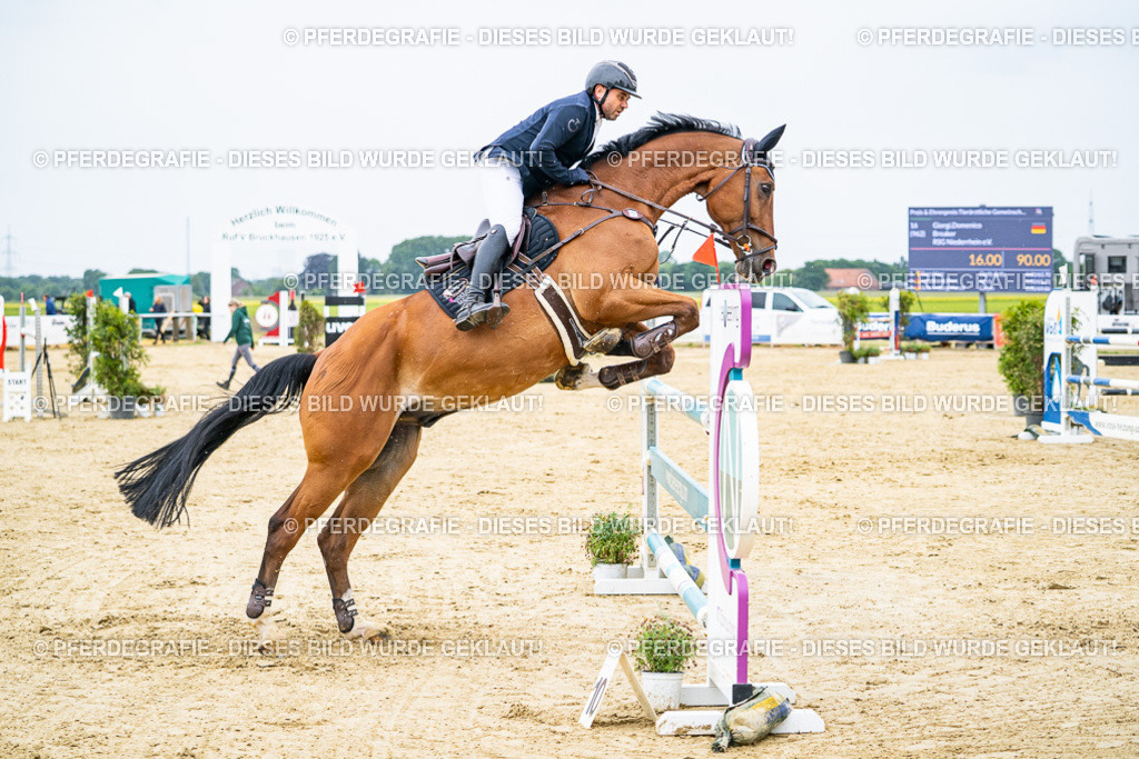 DSC07117 | Pferdegrafie