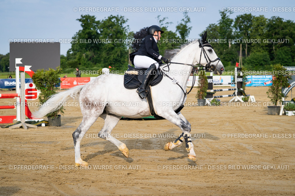 DSC02228 | Pferdegrafie