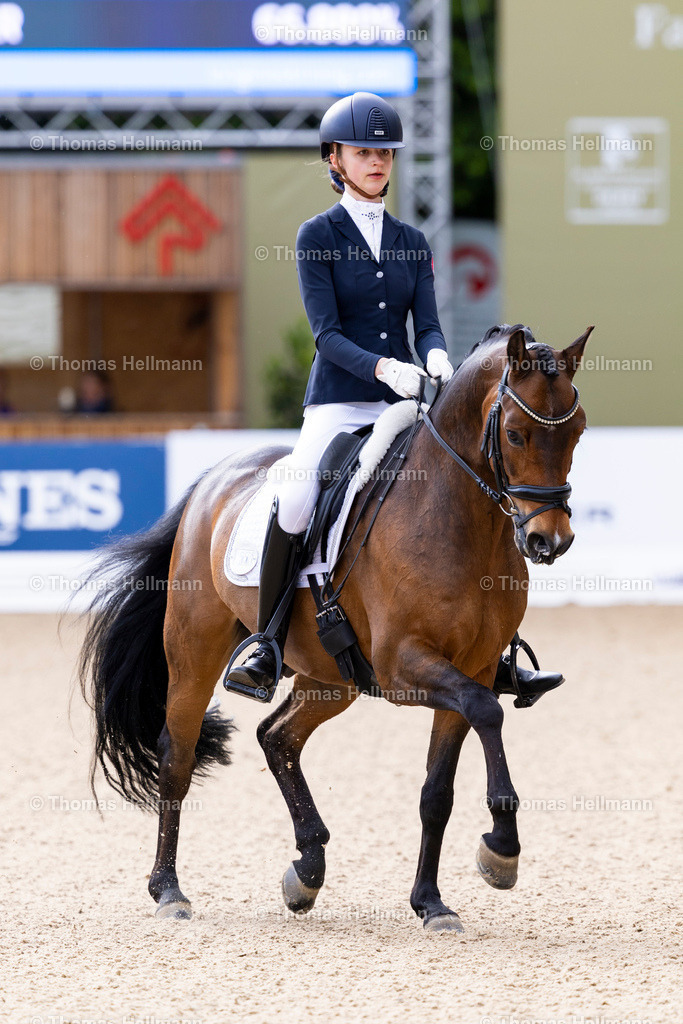 TH_557-LEVIEN Sophie (GER)_ Carlo Carlucci_37551 | Deutsches Spring- und Dressur-Derby 2026 am 14.05.26 in Hamburg, 557LEVIEN Sophie (GER), Carlo Carlucci