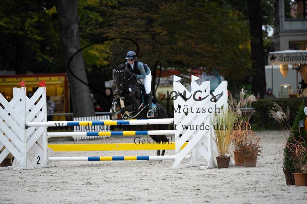 A7V08609 | Turnier/Reitfotograf