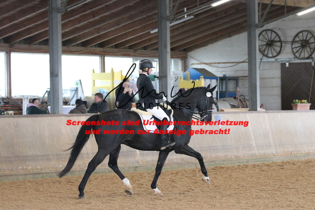 IMG_9904 | lmwpictures - Realisiert mit Pictrs.com