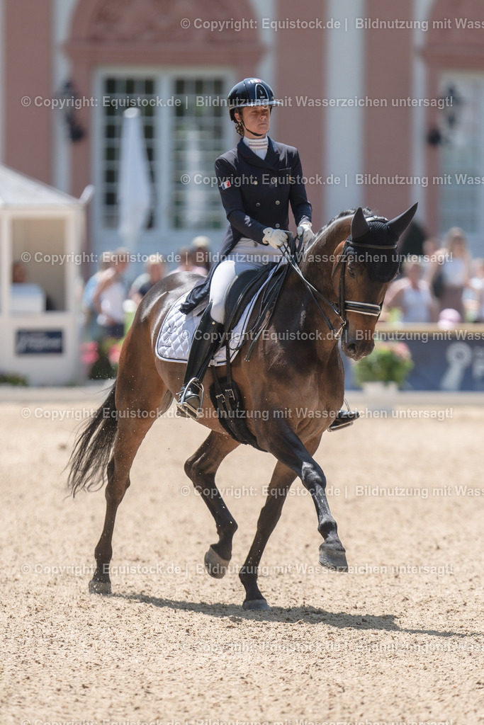 20230528_03_GP-Special-Tour_0285 | equistock