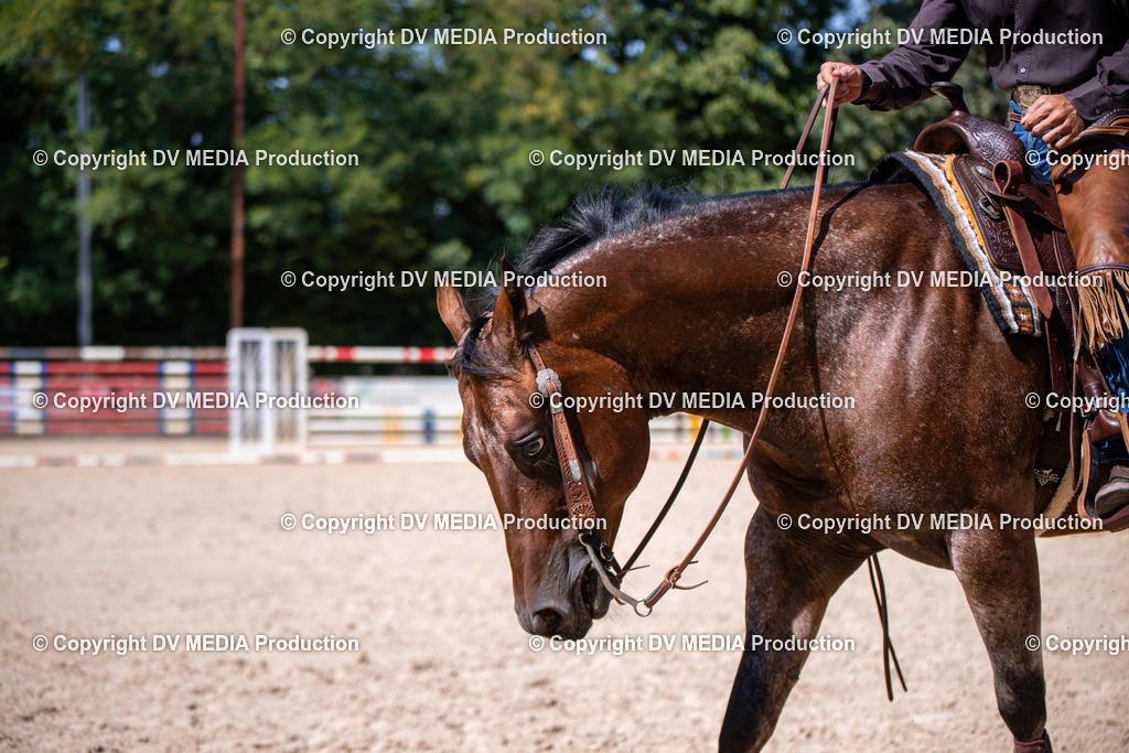 ZS1_1644 | dv-media-shop - Realisiert mit Pictrs.com