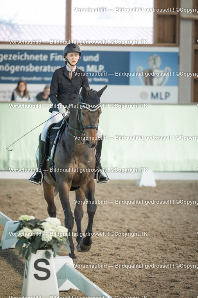 _D5A2931 | Emotionale Pferde- & People-Fotografie rund um Heidelberg, Leimen & Umgebung. Natürliche Fotos von Pferd, Mensch & Familie. Jetzt Termin sichern!