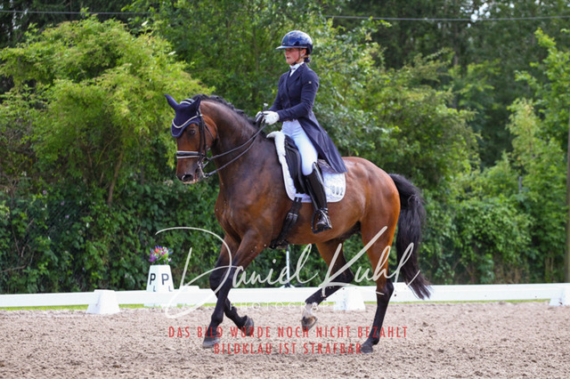 DKP41436 | Turnierfotos kaufen im Webshop von Daniel Kuhl Photography – entdecke professionelle Reitsportfotos aus Turnieren & Events. Hochwertige Turnierbilder online bestellen & sichern. Jetzt Fotos von Reitsportturnieren kaufen!