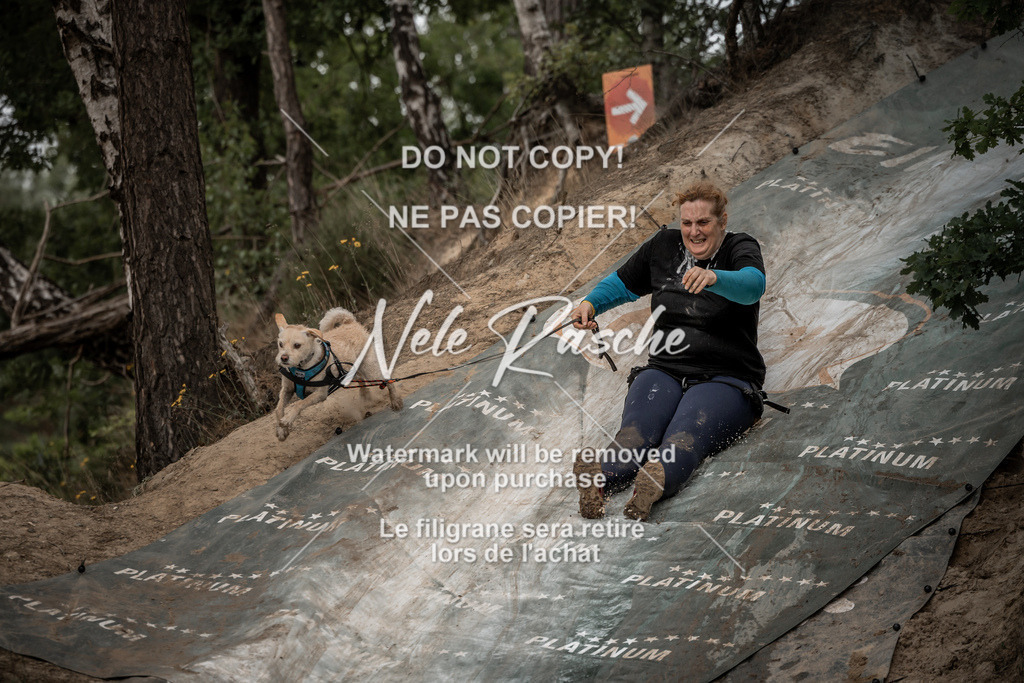 nelerasche_sa1200-1230_02 | nelerasche