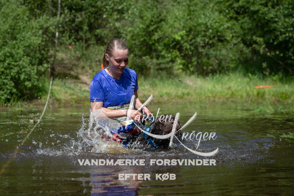 1200DKK991501 | kk-dogfotos