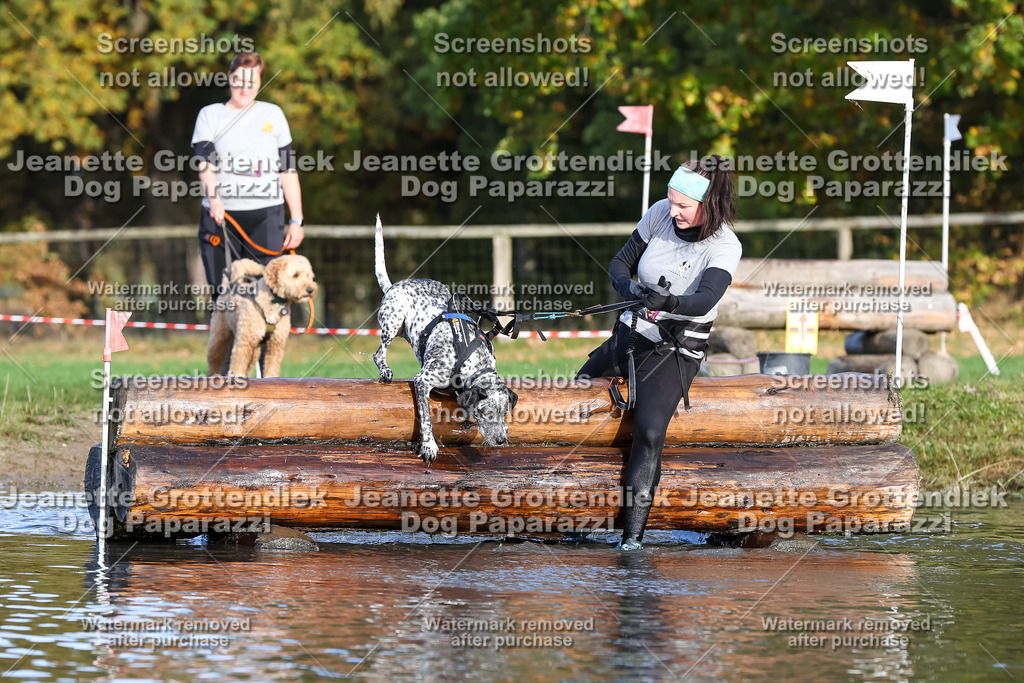 Dog Paparazzi - Strongdog 10-25-8437 | Dog Paparazzi Jeanette Grottendiek Fotografie & Videografie - Realisiert mit Pictrs.com