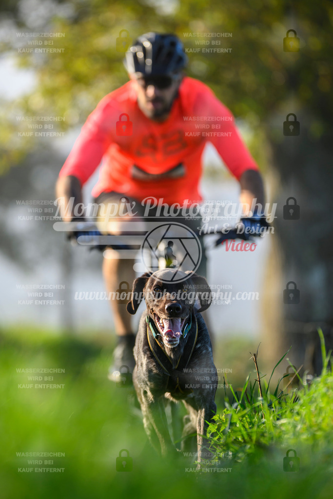 MompixPhotography_20TSB_E3_Bike-194 | PayLife