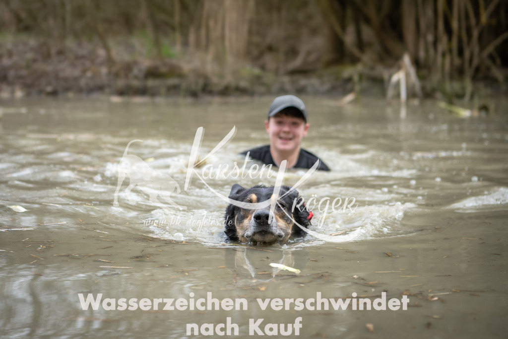 1527_ZZ93009 | kk-dogfotos