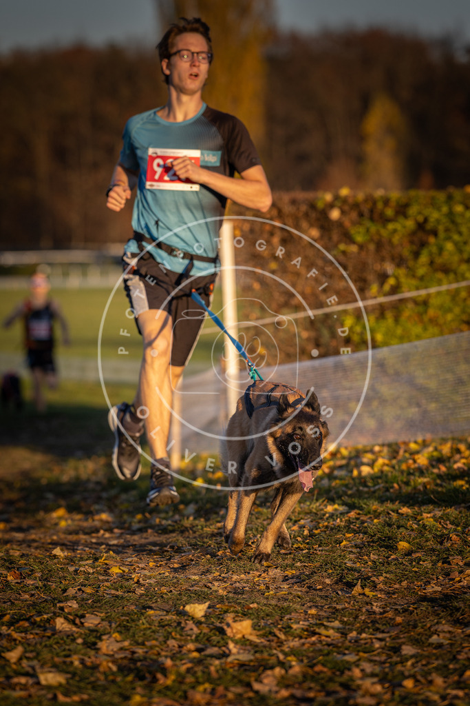 CaniXpix_DV3A5074 | Hundefotografie, Tierfotograf, Pfotenfotografie, Fotoshooting Hund, Hunde Portrait, Hundesport, Hundeportraits, Heideshooting, Hunde, Sportfotograf, Hundefotograf, Turnierhundsport, THS,  - Realisiert mit Pictrs.com