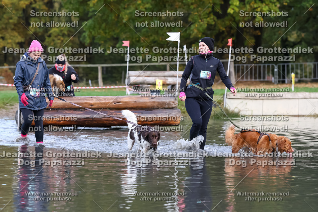 Dog Paparazzi - Strongdog 10-25-6830 | Dog Paparazzi Jeanette Grottendiek Fotografie & Videografie - Realisiert mit Pictrs.com