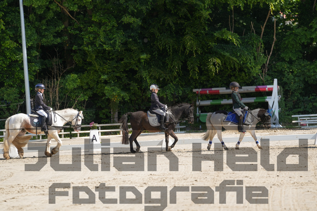 DSC02986 | Julian Held Fotografie - Realisiert mit Pictrs.com