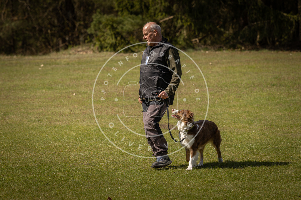 Pfotenfotografie_DV3A1312 | Hundefotografie, Tierfotograf, Pfotenfotografie, Fotoshooting Hund, Hunde Portrait, Hundesport, Hundeportraits, Heideshooting, Hunde, Sportfotograf, Hundefotograf, Turnierhundsport, THS,  - Realisiert mit Pictrs.com
