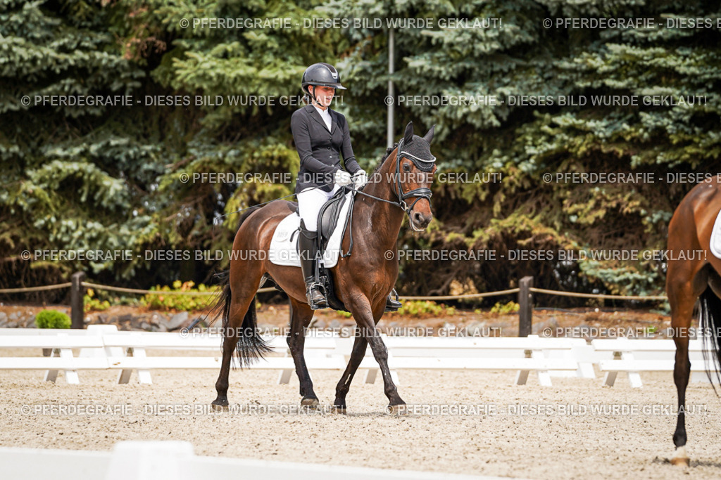 DSC04166 | Pferdegrafie