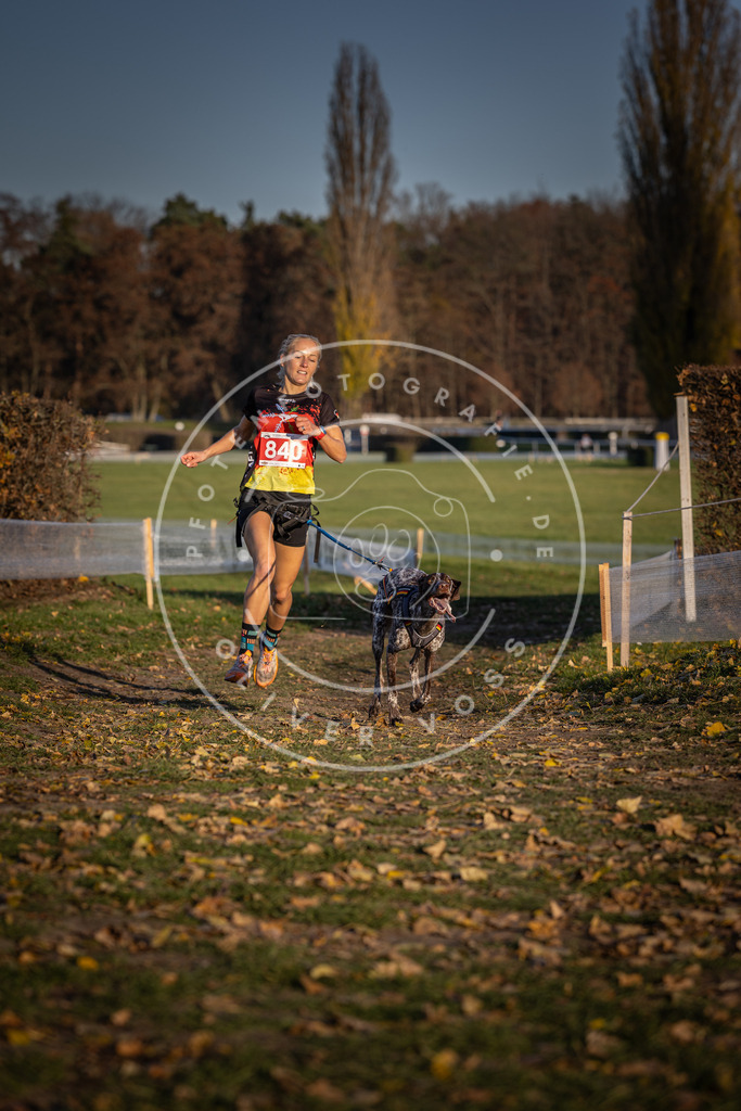 CaniXpix_DV3A3629 | Hundefotografie, Tierfotograf, Pfotenfotografie, Fotoshooting Hund, Hunde Portrait, Hundesport, Hundeportraits, Heideshooting, Hunde, Sportfotograf, Hundefotograf, Turnierhundsport, THS,  - Realisiert mit Pictrs.com
