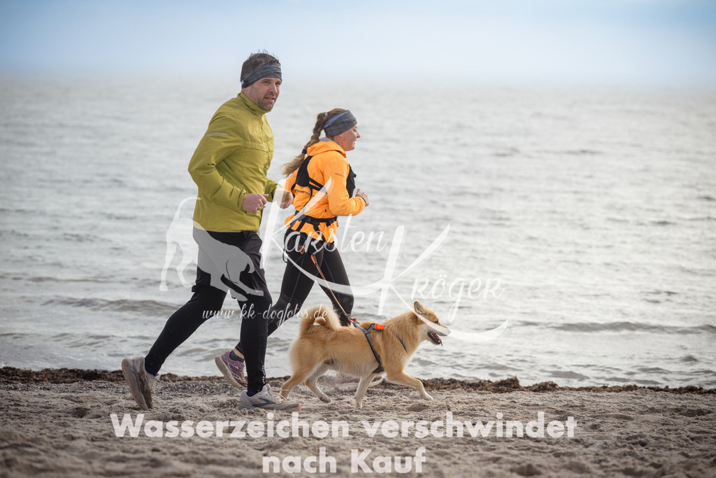 1200_ZZ93321 | kk-dogfotos