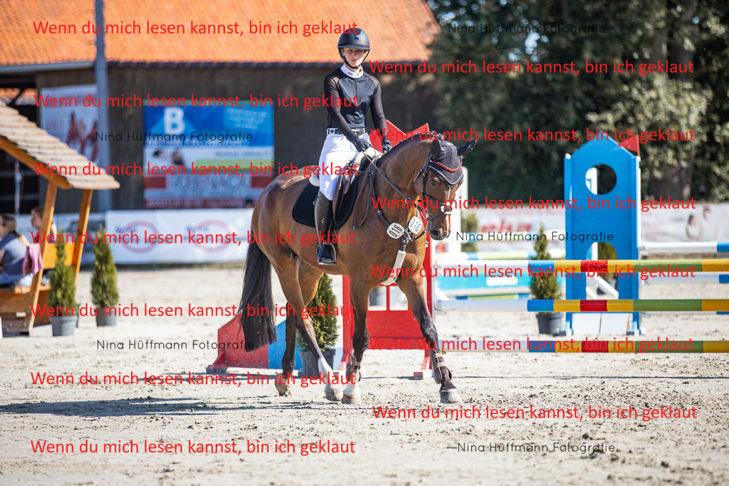 BK1A7134 | Turnierbilder Turnierfotos Nina Hüffmann Turnierfotografie Pferdefotografie Tierzeichnung Haustierzeichnung Pferdezeichnung Hundezeichnung Videograf  - Realisiert mit Pictrs.com