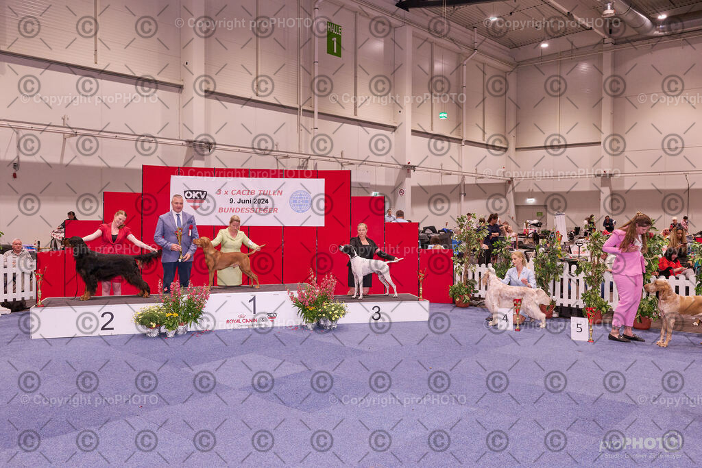 202406_ÖKV-IHA-Tulln24_NZ9_9553 | proPHOTO - Realisiert mit Pictrs.com