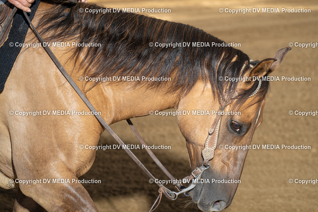 DSC00302 | dv-media-shop - Realisiert mit Pictrs.com