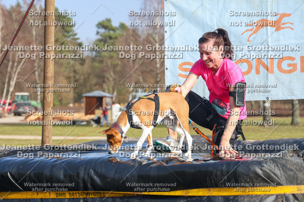 Dog Paparazzi - Strongdog North Mrz26-3087 | Dog Paparazzi Jeanette Grottendiek Fotografie & Videografie - Realisiert mit Pictrs.com