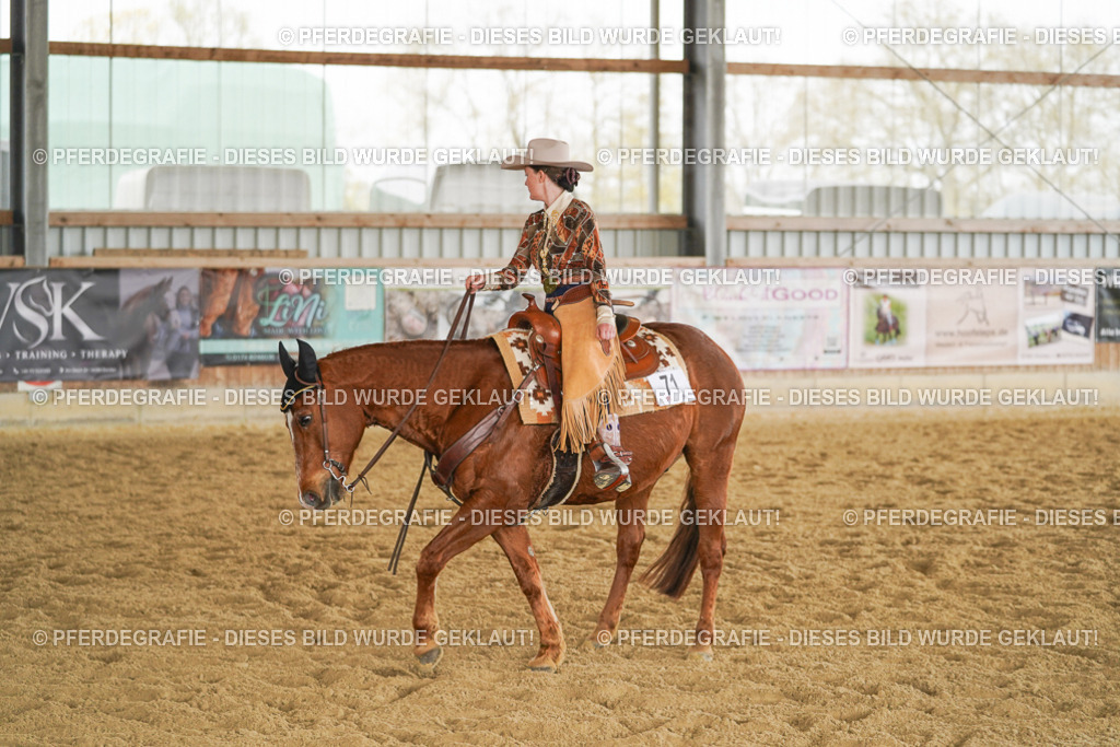 DSC04903 | Pferdegrafie