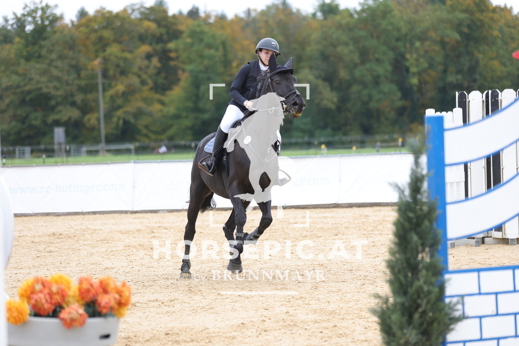 0P6A2874 | Willkommen bei Brunnmayr - Design & Fotografie – Ihrem Spezialisten für Reitturniere und Pferdeveranstaltungen in Oberösterreich, Salzburg und Bayern! Seit über 17 Jahren sind wir leidenschaftlich dabei.