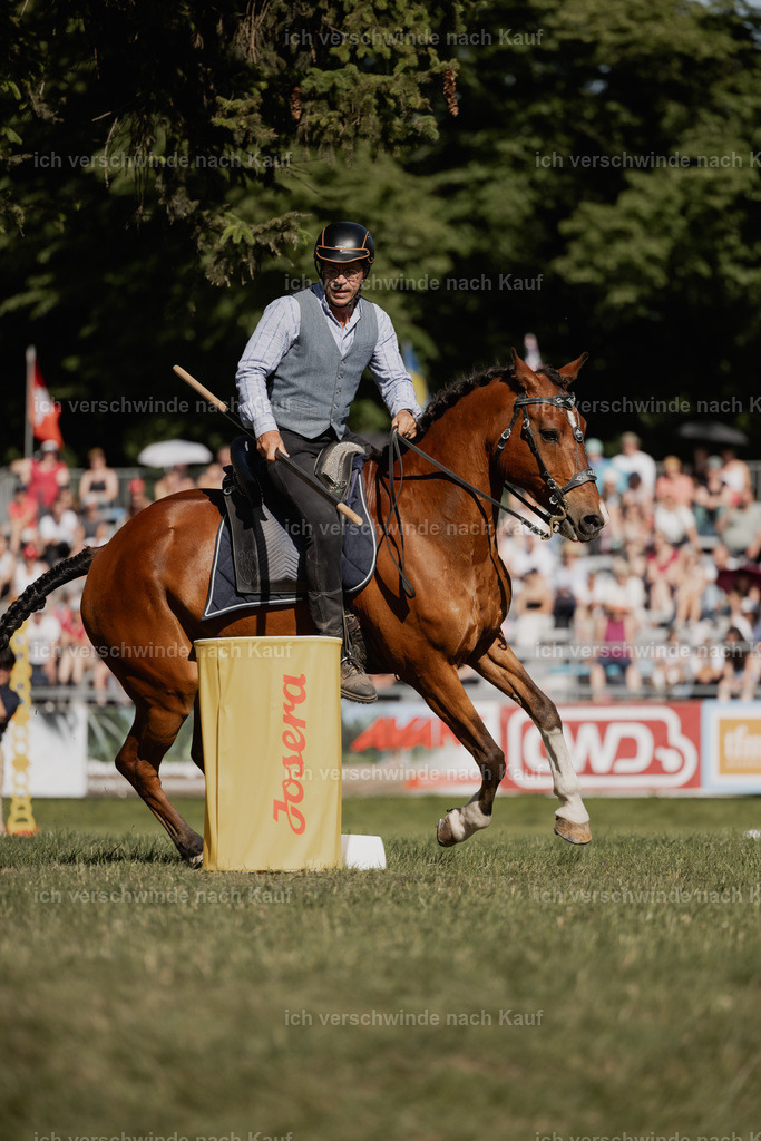 _AM28867 | Pferd International München 2025